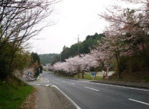 su hoa dao
