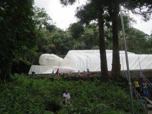 IMG_Phật nằm 49m