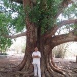 IMG_La 3 Bo de