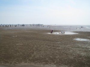 IMG_t7 Bãi nghêu M3