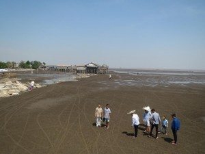 IMG_t8 M3 hai ông cháu