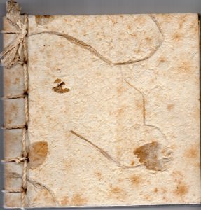 Bìa tập thơ Đỗ Hồng Ngọc, độc bản, viết tay trên giấy dó thô, 1996.